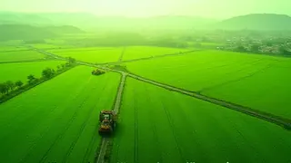 Addis Abeaba: UN und Afrikanische Union fordern technologische Wende in der Landwirtschaft