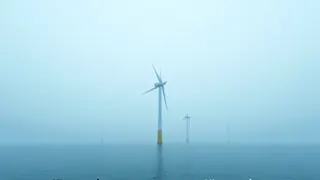 AfD kritisiert UN-Hochseeschutzabkommen und fordert Stopp des Offshore-Windkraftausbaus