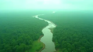 Amazonas-Deforestation: Rekordtief oder strategische Inszenierung?