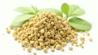 Ashwagandha als Ansatz zur Regulation des Stressstoffwechsels: Neue Einblicke in hormonelle Zusammenhänge