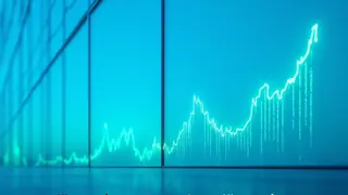 Ausländische Investitionen in Deutschland: 50 Zuwachs Jubel oder kritischer Blick?