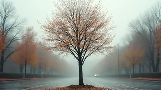 Bad Muskau plant Baum der Erinnerung als Ort zum Trauern im November