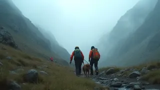 Bergwacht rettet verirrten Wanderer und Hund aus Kirnitzschtal