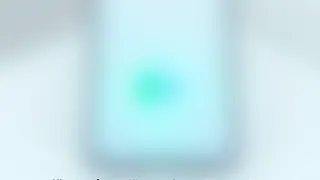 BirdyChat: Neuer Messenger mit WhatsApp-Brücke für den Berufseinsatz?