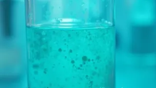 Cyanobakterien: Zwischen Gesundheitsrisiko und ökologischem Potenzial