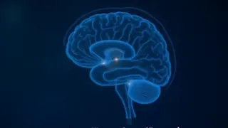 Dankbarkeit als neurobiologisches Training: Faktencheck zur positiven Psychologie