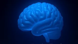 Die Illusion der universalen Blau-Faszination: Neurologische Trigger und kulturelle Konstrukte