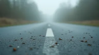 Die stille Spur der Natur: Warum das Verschwinden der Insekten unsere Straßen verändert