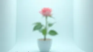 Duftveränderung von Rosen unter Schwerelosigkeit: NASA-Experiment aus dem Jahr 1998