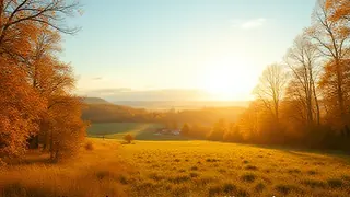 DWD prognostiziert milde Temperaturen und viel Sonne für den Herbstbeginn