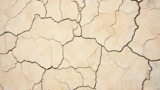 Ehemalige Generäle warnen vor existenzieller Bedrohung durch Siedlergewalt