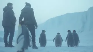 Eisberg blockiert Pinguin-Nahrungsrouten und gefährdet Brut