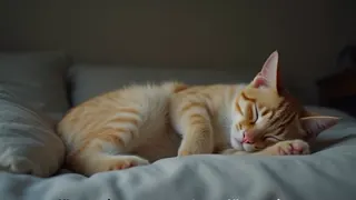 Faszination Tierschlaf: Warum Katzen im Traum zucken und was das verrät