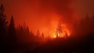 Feuerkatastrophe in Europa: Unsicherheit und Flucht vor den Flammen