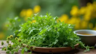Foraging-Rezepte: Was sich aus Wildkräutern alles zubereiten lässt
