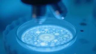 Forschungspionier nutzt Stammzellen für regenerative Medizin und persönliche Gesundheitsoptimierung