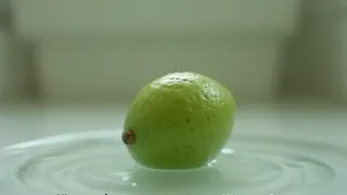 Gartentrick für Avocado Co.: Mythos der leichten Anzucht aus dem Abfall