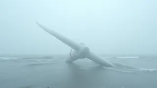 Gefahr für die Schifffahrt: Abgebrochener Rotorblatt in der Nordsee beseitigt
