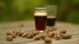 Gegen Schneckenbefall: Warum das alte Bier-Trick-Mythos in der Praxis versagt