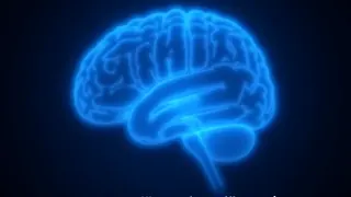 Gehirnalterung: Neue Erkenntnisse zur Neuroplastizität und kognitiven Resilienz