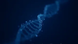 Genetische Evolution: Wie Spinnenmännchen ihr Überleben programmieren