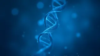 Genomstudie: Räumliche DNA-Struktur als Treiber der Cephalopoden-Evolution