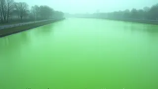 Gesundheitsamt untersagt Badespaß am Silbersee wegen toxischer Algenblüte