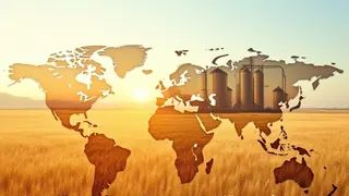 Globale Nahrungsmittelversorgung: Drei zentrale Herausforderungen für die Ernte 2026 und 2027