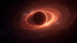 Gravitative Zerrkräfte: Warum junge Sterne am Galaktischen Zentrum einsam sind