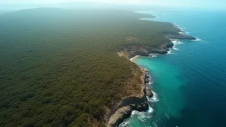 Großes Projekt: Australien entfernt Wildschweine von Kangaroo Island