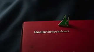 Hessens Grüne kritisieren Schwarz-Rot als gescheiterte Regierungskoalition