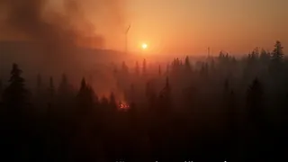 Hürtgenwald: Waldbrand und Windkraftplanung im Fokus der öffentlichen Debatte