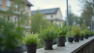 IGAs Balkon-Wettbewerb: Inszenierte Bürgerbeteiligung als Marketinginstrument
