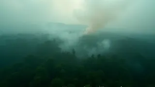 Indonesische Waldbrände: Agrarindustrie und Klimaphänomene verschärfen Luftqualitätskrise in Südostasien