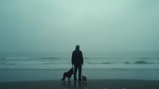 Influencer verabschiedet sich vom toten Hund im Meer