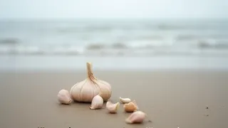 Knoblauch an Rostocks Küste angespült