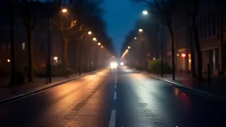 Kommentar: Vom Wendepunkt in Paris zur Bürgerwehr in Deutschland Die Illusion der Sicherheit