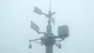 Korallen-Resilienz: Meteorologische Glücksfälle statt ökologischer Sieg