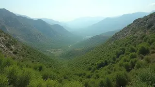 Kreta: Polizei zerschlägt illegale Cannabis-Netzwerke in abgelegenen Bergregionen