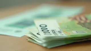 Kritik an Campact: 150.000 Euro Kampagne soll Grünen in Meck-Pomm vor Fünf-Prozent-Hürde retten