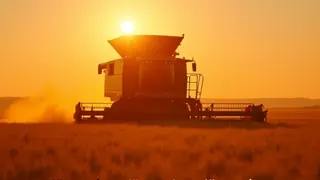 Kritische Einordnung: Landwirtschaftsunternehmen von Francisco Rivera erzielt 382.000 Euro Umsatz