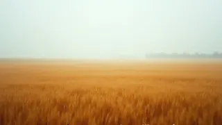 Landwirtschaftsministerin warnt vor mangelnder Wertschätzung durch niedrige Lebensmittelpreise