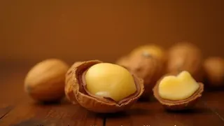 Macadamia-Nuss: Australische Königin der Nüsse punktet mit gesunden Fetten und Sättigung