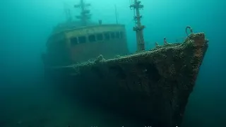 Mikrobielle Helfer bei der Beseitigung von Ölverschmutzungen auf alten Schiffswracks