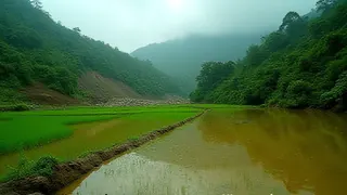 Monsumflut in Kerala: Überflutete Ackerflächen und Evakuierungen nach Hangrutsch