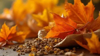 Natürliche Atemwegspflege im Herbst: Fokus auf pflanzliche Vitalstoffe