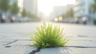 Natur als Marketinginstrument: Die Inszenierung von Wildnis in der HafenCity