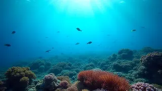 Naturbewundernd: Das Great Barrier Reef beweist seine kraftvolle Regenerationsfähigkeit