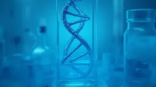 Neandertaler-Erbe: Genetische Spur für mehr Muskelmasse?