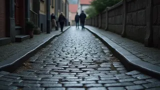 Neuburg: Senioren-Befragung offenbart Defizite bei Barrierefreiheit und Mobilität